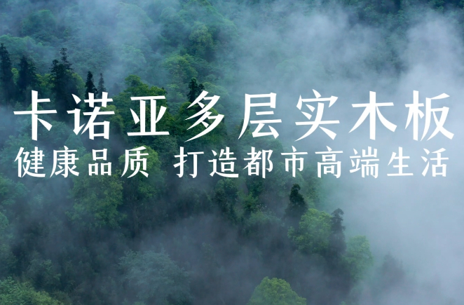 evo视讯官网
多层实木板，环保品质再升级