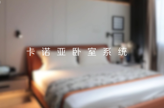 evo视讯官网
打造全新卧室系统核心IP，多维创新构建差异化优势
